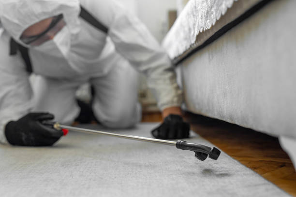 Professional Termite Control technician working in Forest City, IA