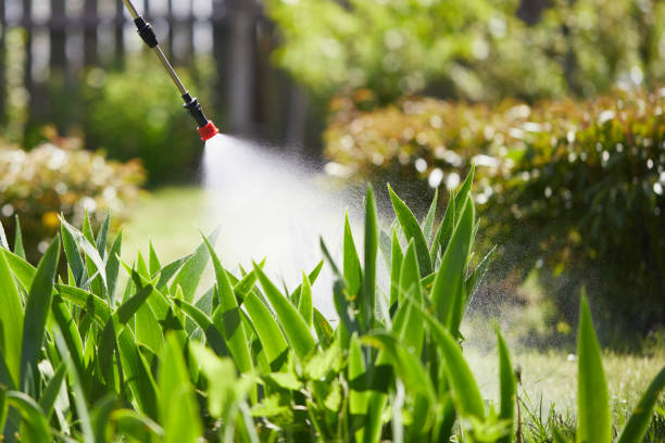 24/7 Emergency Termite Control experts in Forest City, IA