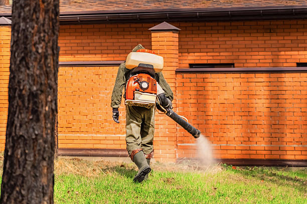 Trusted Rodent Control service in Forest City, IA - Nex Pest Control